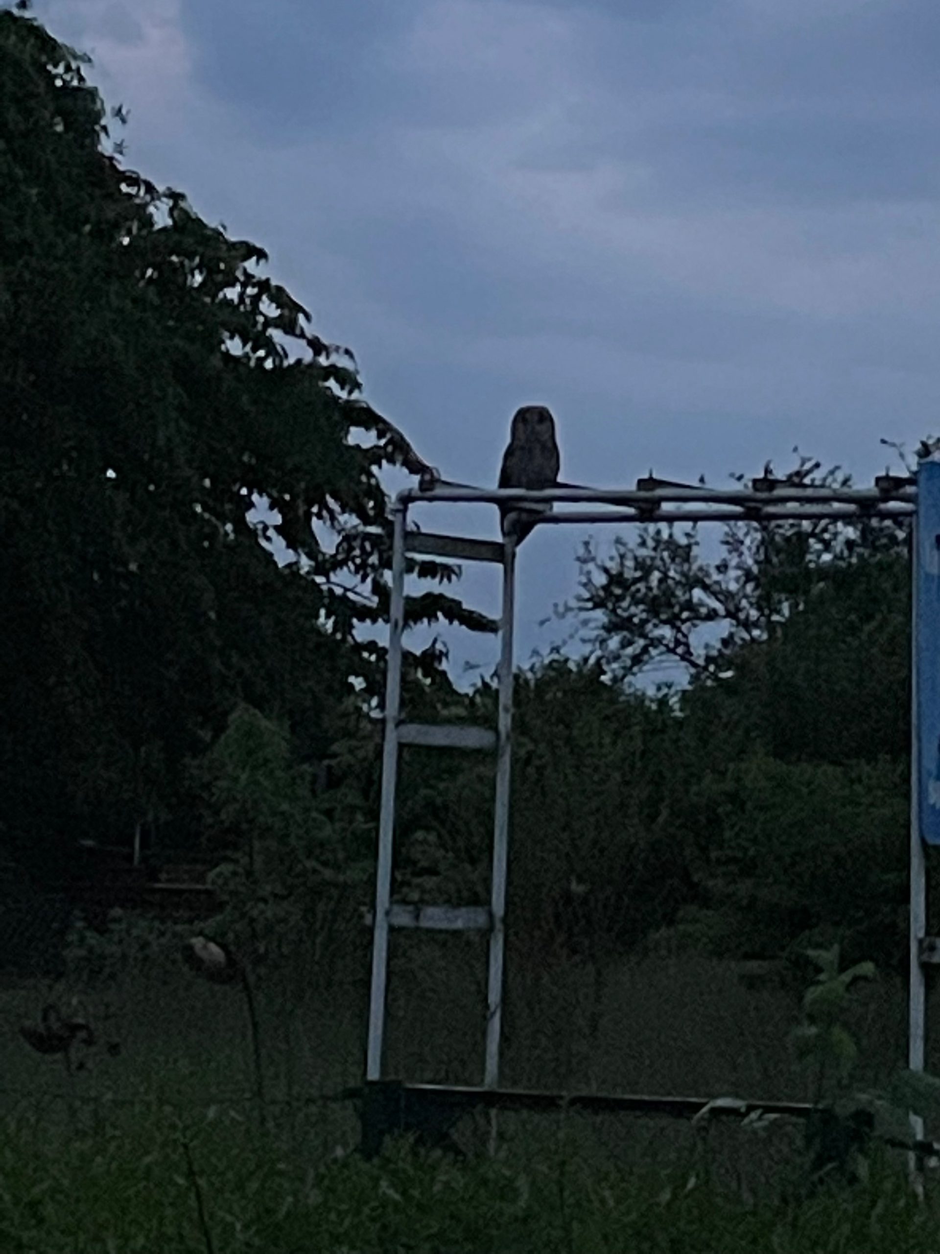 Gartenanlage KGV Sehnde