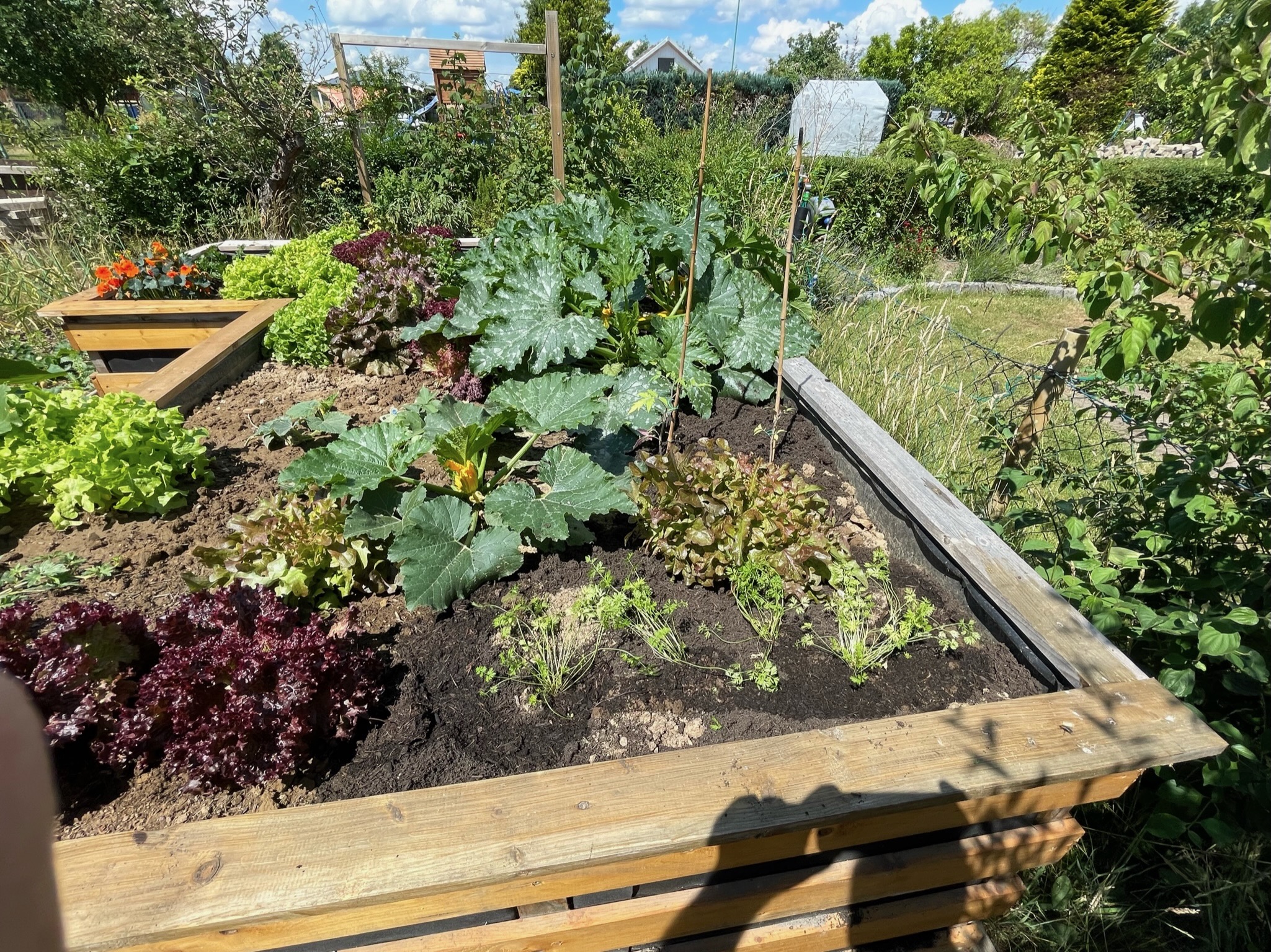 Gartenanlage KGV Sehnde
