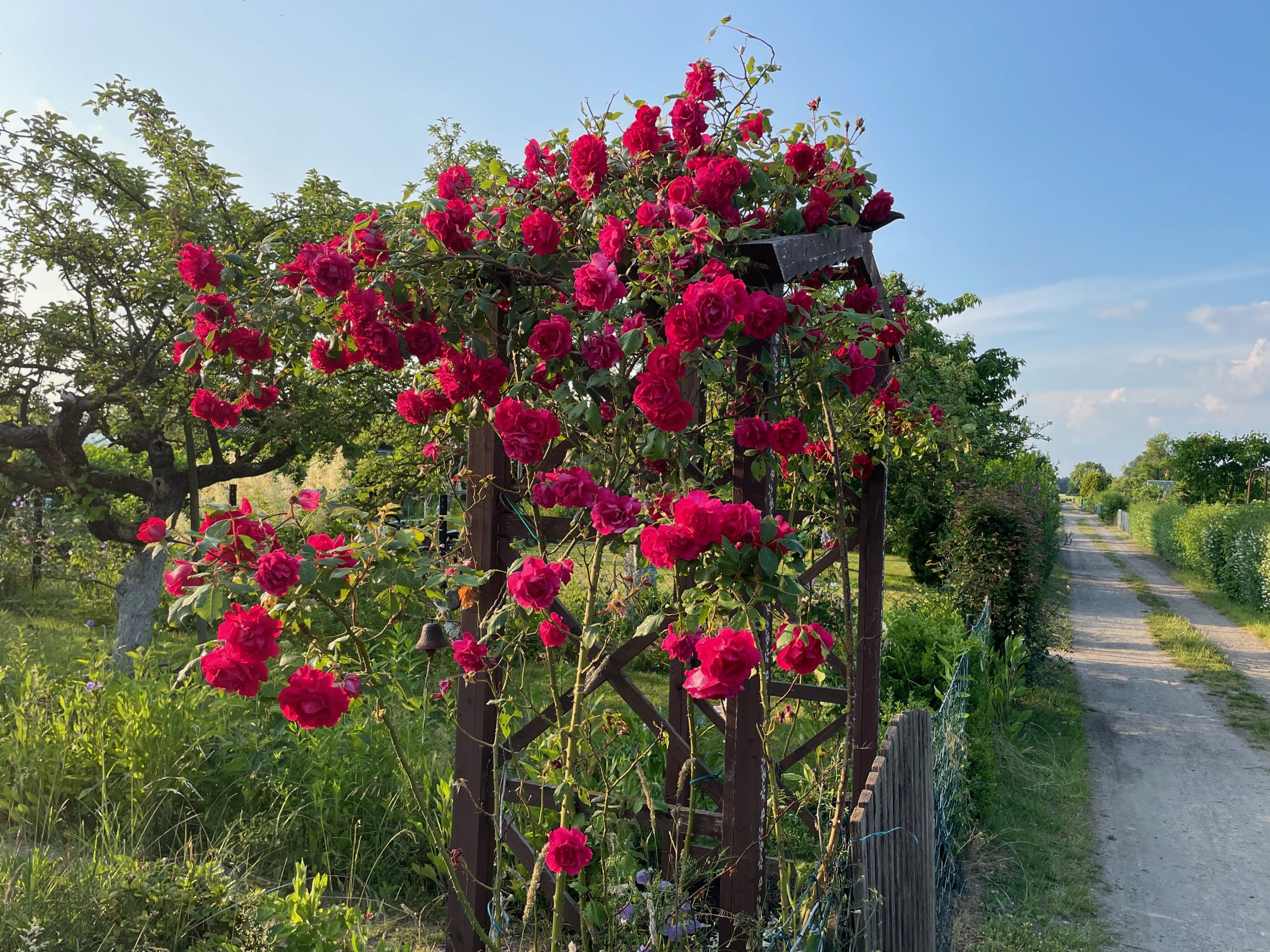 Gartenanlage KGV Sehnde